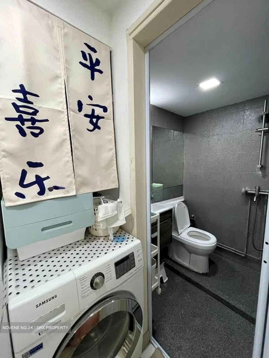 International Plaza (D2), Apartment #528472251